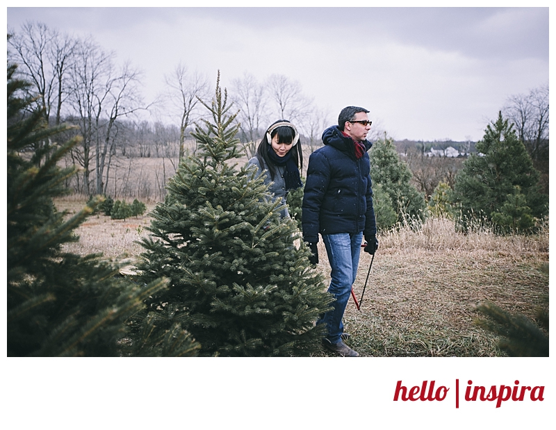 christmas engagement session ideas