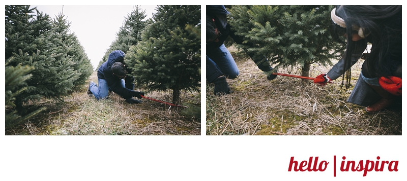 how to cut a christmas tree