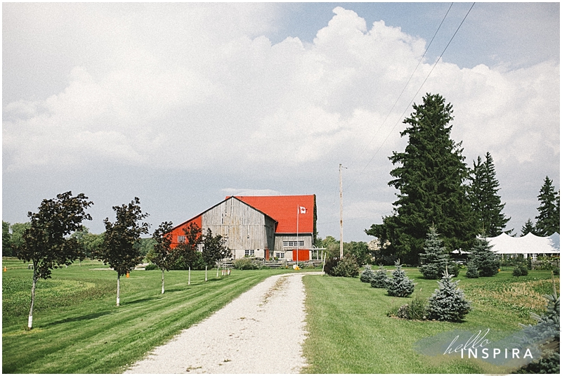 toronto backyard wedding