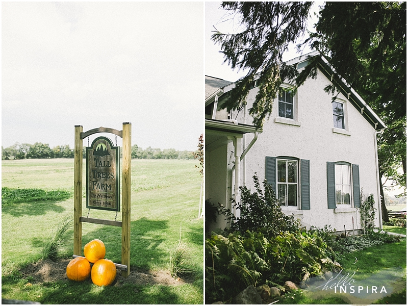 ontario backyard wedding