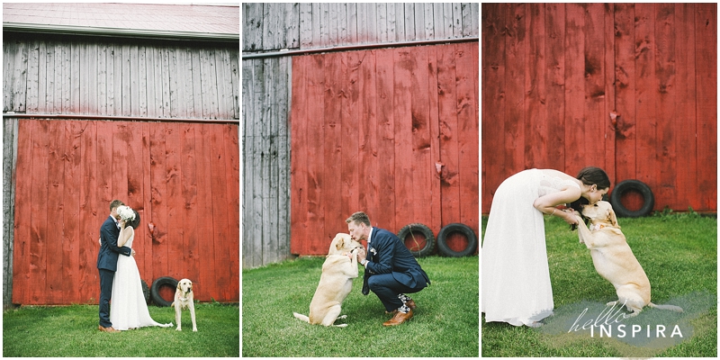 dog in a wedding ideas