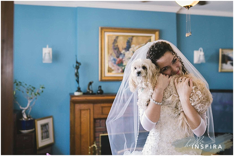 dog on a wedding day