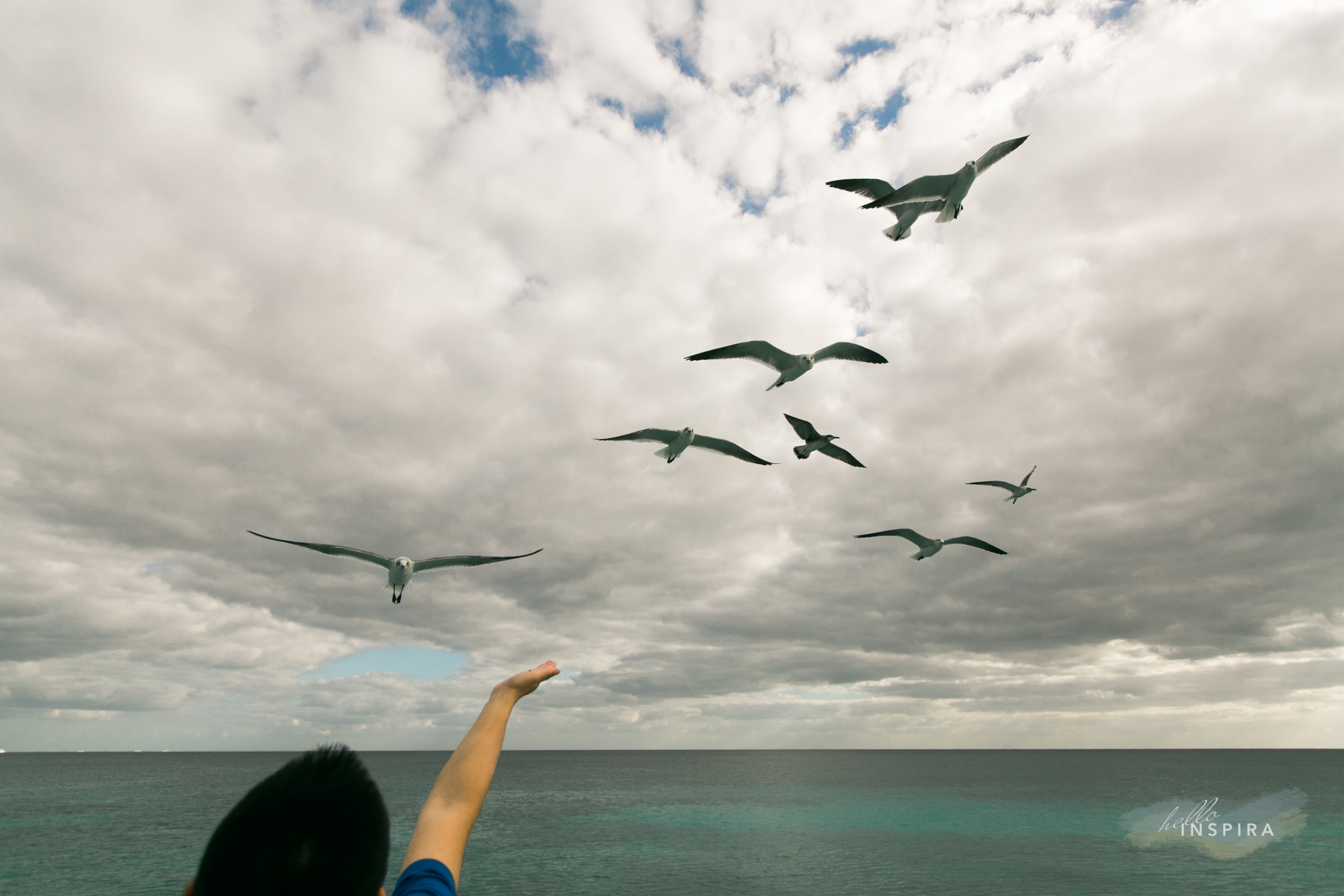 Catamaran Day Trip Cancun