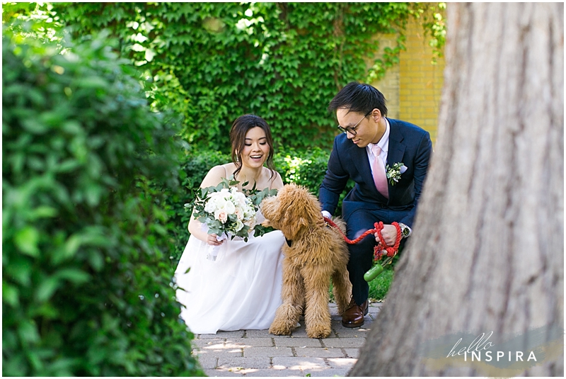 dogs in u of t wedding photos