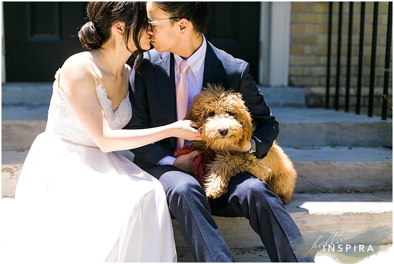 mini golden doodle in weddings